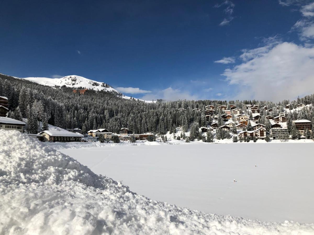 Arosa Vetter Hotel المظهر الخارجي الصورة