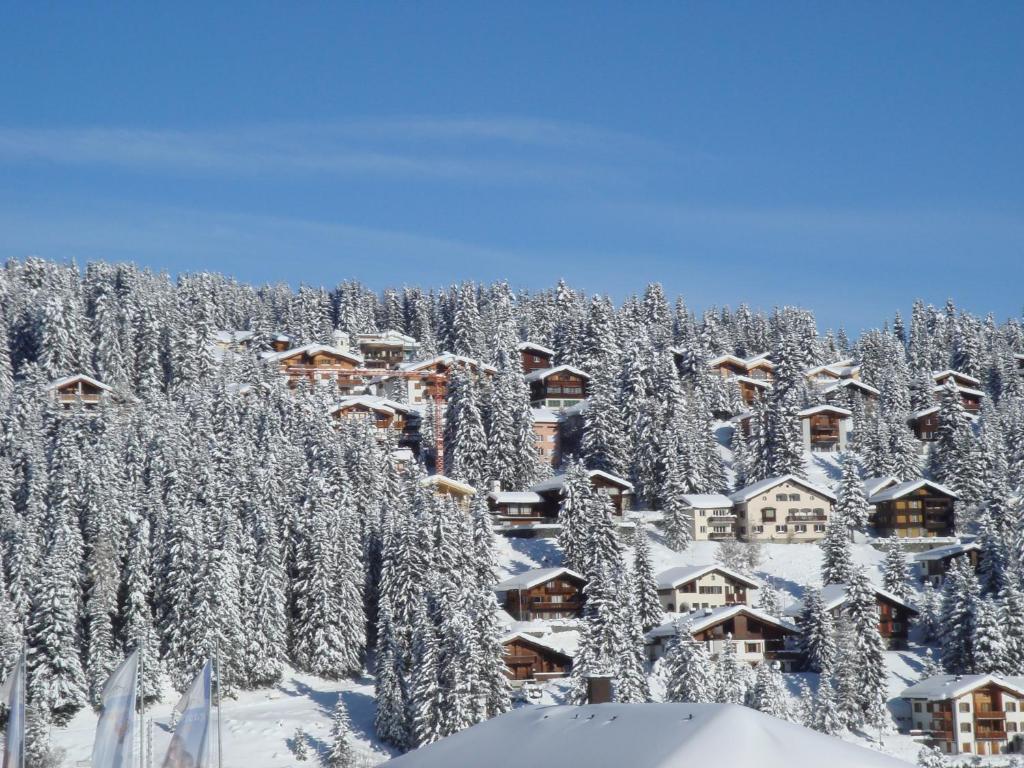 Arosa Vetter Hotel المظهر الخارجي الصورة